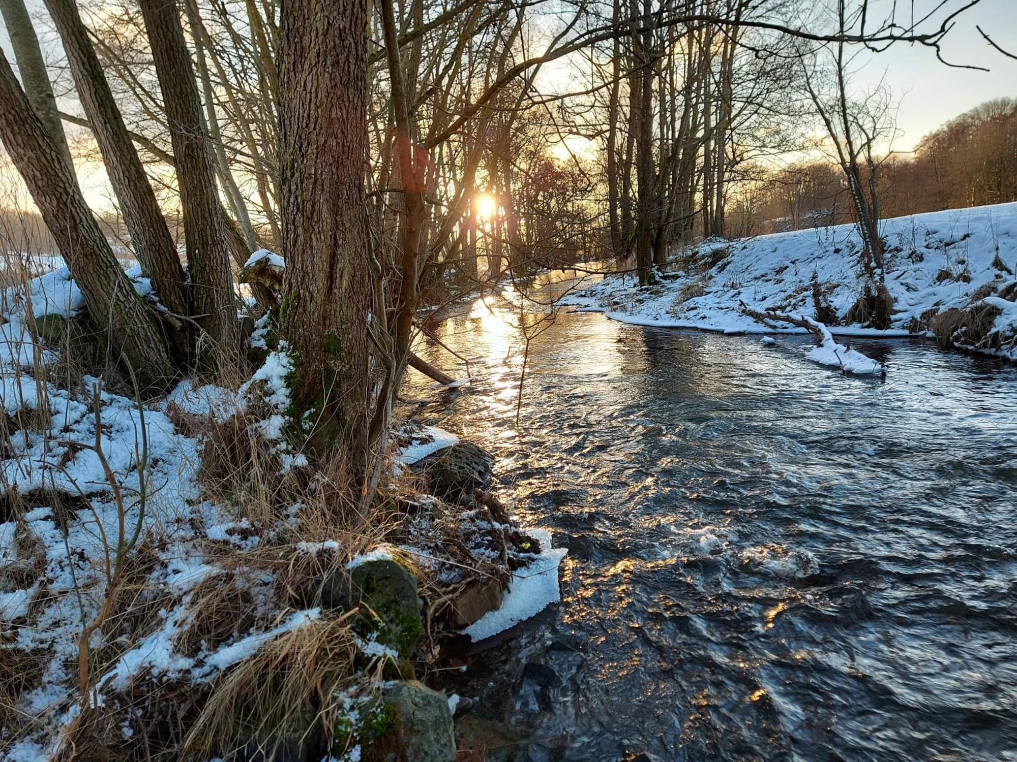 Gaestehaus Hochrhoenblick Schönau an der Brend Eksteriør billede