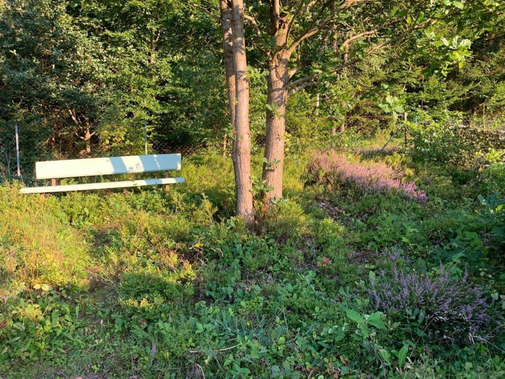 Gaestehaus Hochrhoenblick Schönau an der Brend Eksteriør billede